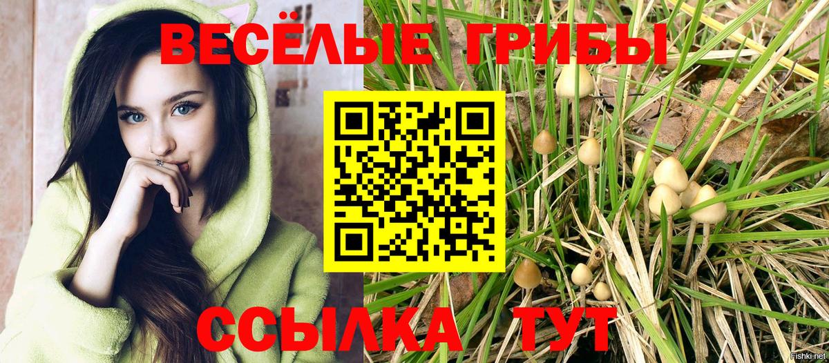 Галлюциногенные грибы Magic Shrooms  Долгопрудный 