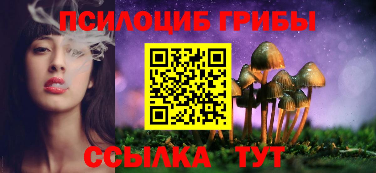 Псилоцибиновые грибы Psilocybine cubensis Долгопрудный