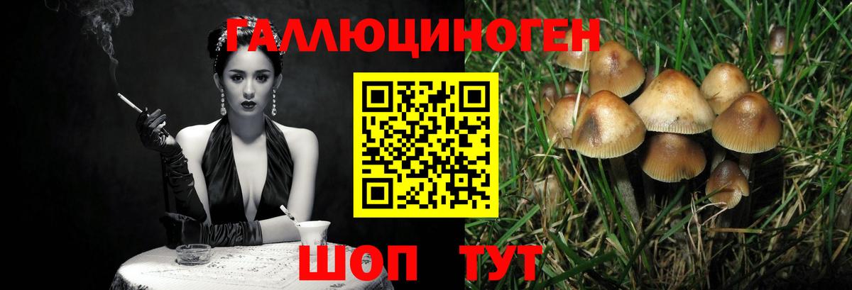 Псилоцибиновые грибы Cubensis  Вход с VPN  Псилоцибиновые грибы Psilocybe  Долгопрудный 