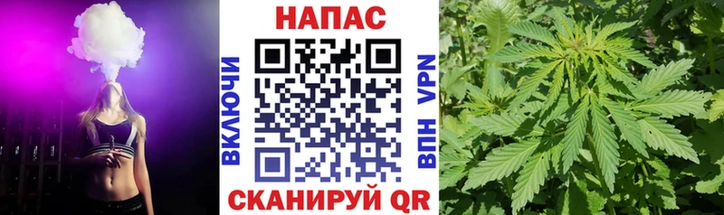 Бошки Шишки тримм закладки Долгопрудный